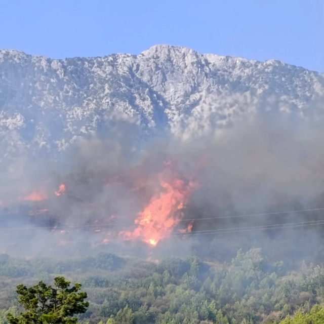 Alanya'da orman yangını (2)