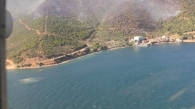 Yalova'da orman yangını (3)