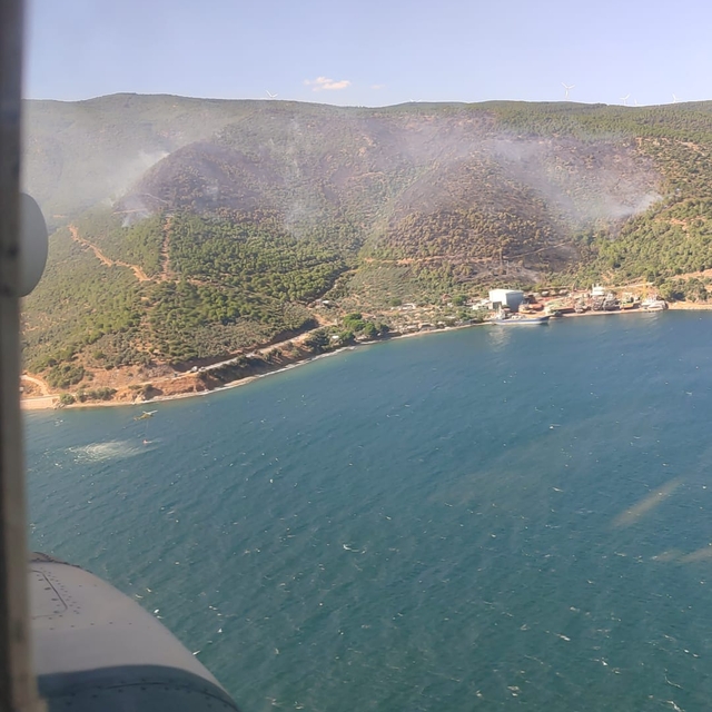 Yalova'da orman yangını (3)