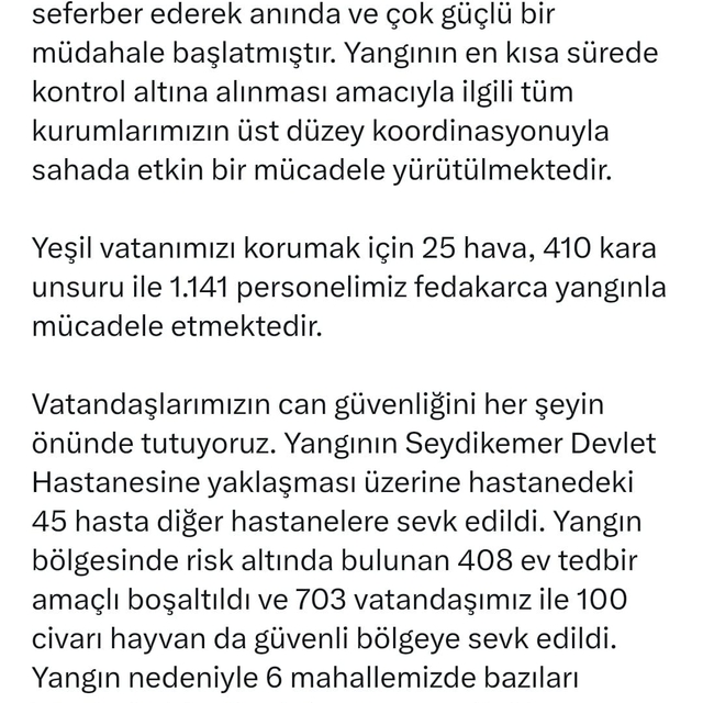 Muğla'da orman yangını (8)