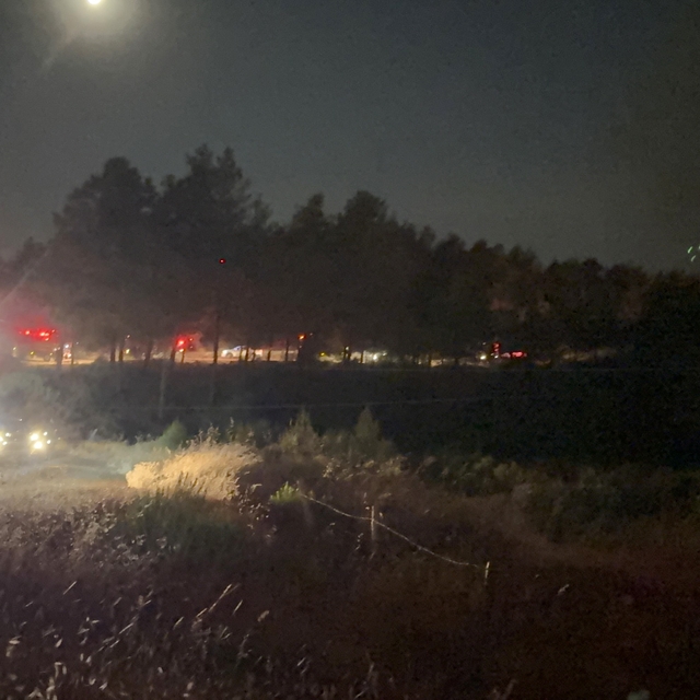 Fethiye'de Yeşilüzümlü Mahallesinde orman yangını başladı