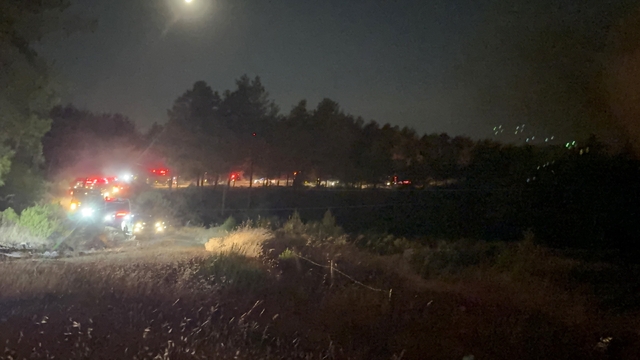 Fethiye'de Yeşilüzümlü Mahallesinde orman yangını başladı