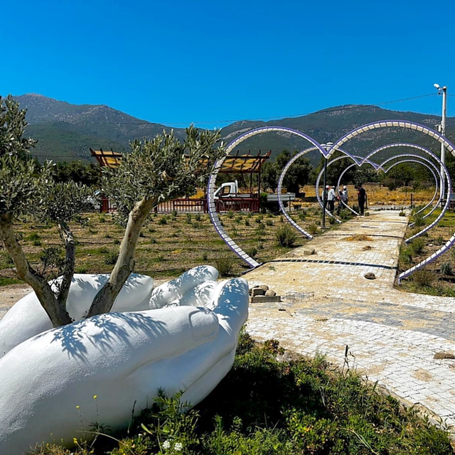Fotoğraf tutkunları Söke'de lavanta bahçesine akın edecek