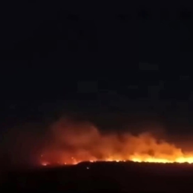 Gaziantep'te orman yangını
Yangın, ekiplerin havadan ve karadan müdahalesi...