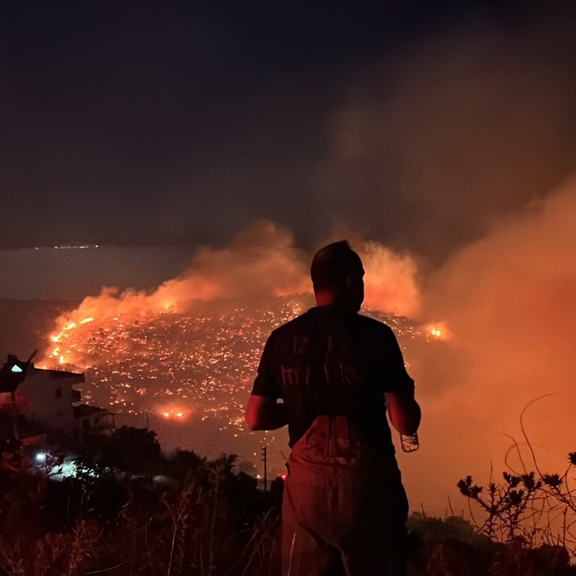 İzmir'in kuzeyinde orman yangını alarmı