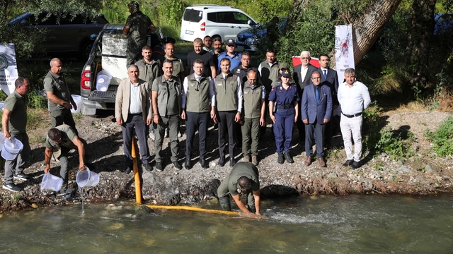 Ecemiş Çayı'na 15 bin alabalık yavrusu bırakıldı
