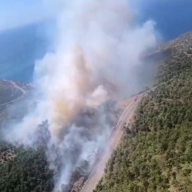 Mersin'de orman yangını: Ekipler havadan ve karadan müdahale ediyor