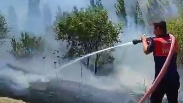 Bahçe yangınında çok sayıda ağaç zarar gördü