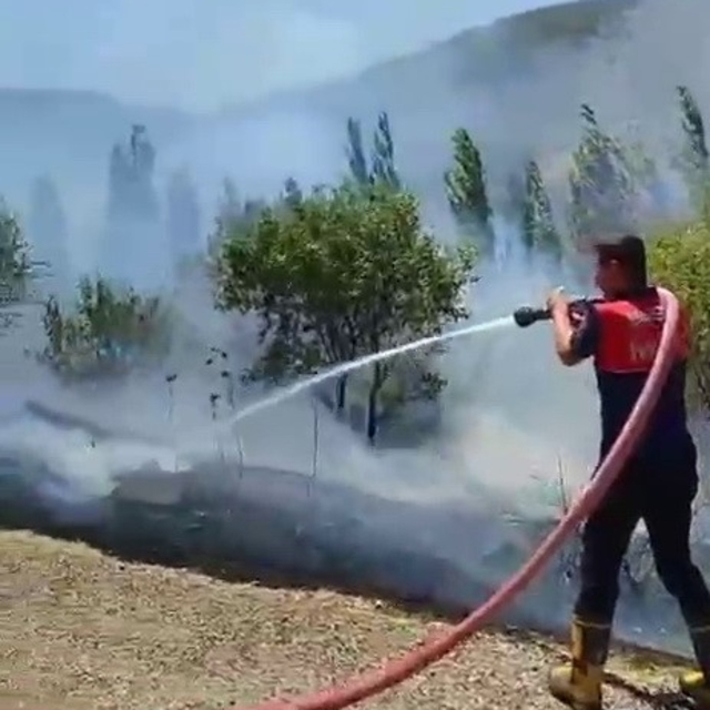 Bahçe yangınında çok sayıda ağaç zarar gördü