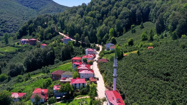 Ordu'nun kırsalında beton yol çalışmaları