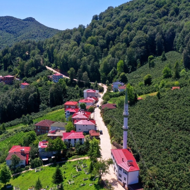 Ordu'nun kırsalında beton yol çalışmaları