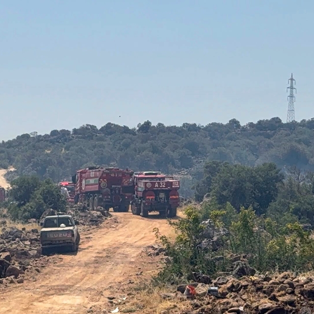 Gaziantep'te orman yangını: Ekiplerin müdahalesi sürüyor