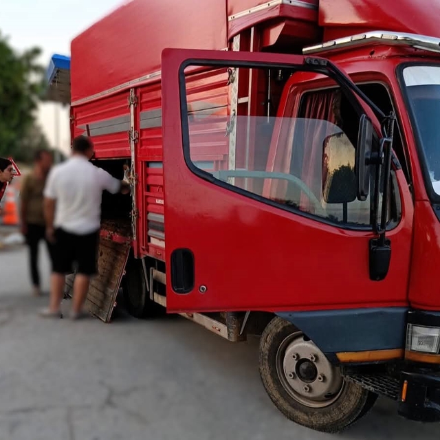 Kaçak hayvan sevkine 175 bin lira ceza
Kaçak sevk edilen hayvanlar, Trakya'...