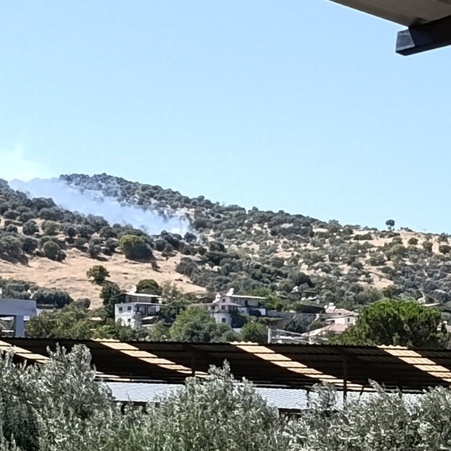 Bozdoğan'daki zirai alan yangını kontrol altına alındı