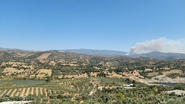 Galeri