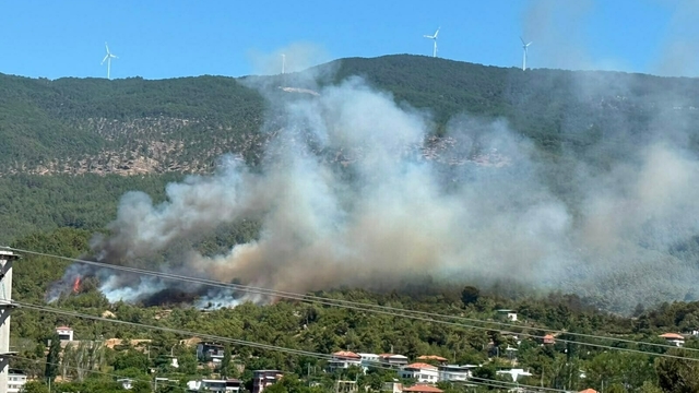 Aydın'da orman yangını