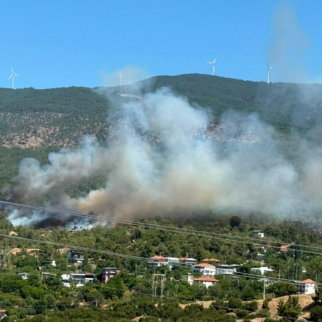Aydın'da orman yangını