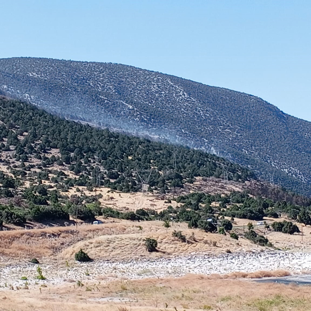 Eğirdir Gölü kenarında 2 noktada yangın (2)