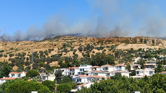 Foça'da maki yangını