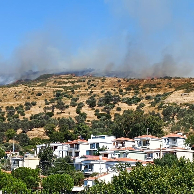 Foça'da maki yangını