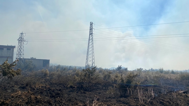 Çanakkale'de tarım arazisinde yangın