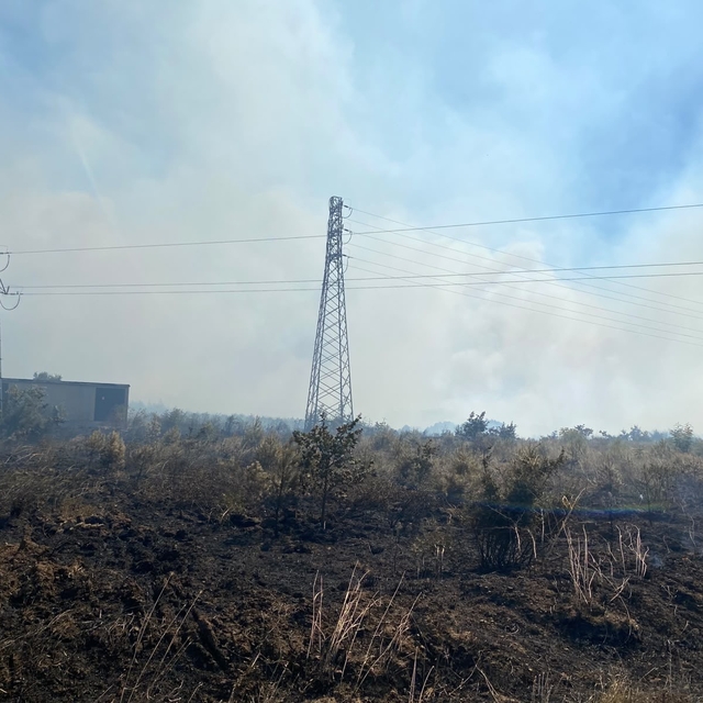 Çanakkale'de tarım arazisinde yangın