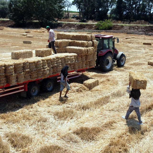 Tekirdağ'da balya bağlama ile açık alanda ateş yakılması yasaklandı