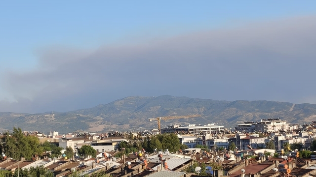 Çine yangının dumanları Efeler'e ulaştı