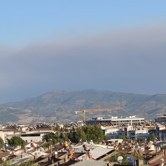 Çine yangının dumanları Efeler'e ulaştı