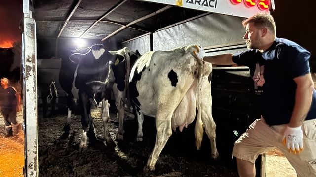 Aydın'da orman yangını (6)