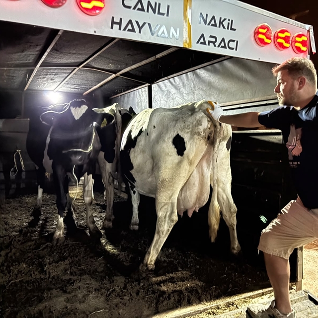 Aydın'da orman yangını (6)
