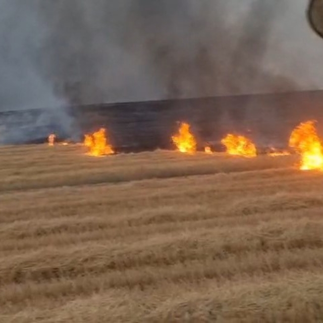 Diyarbakır'da 5 bin dönüm arazi alevlere teslim oldu