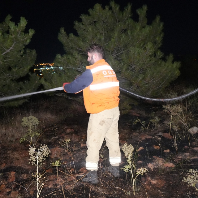 Bir kuş çam ormanlarını alevlerin eşiğine getirdi: Yangın büyümeden söndürü...