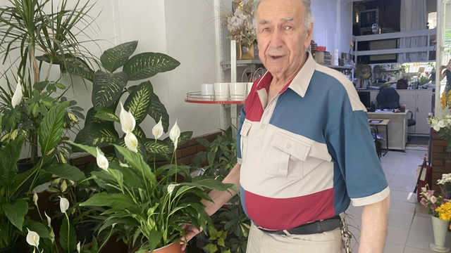 Direkt güneş ışığı çiçekler için zararlı
Yaz sıcaklarında yapılan yanlış bakım çiçekleri kurutuyor
Çiçekçi Şengül;
"Tülden gelen ışık çiçek için en sağlıklı olandır"
"Tüm çiçek türlerine aynı rutinleri uygulamak doğru değildir"