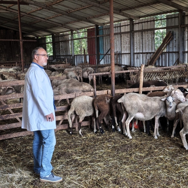 Süt kalitesi ve hayvan sağlığı güvence altında