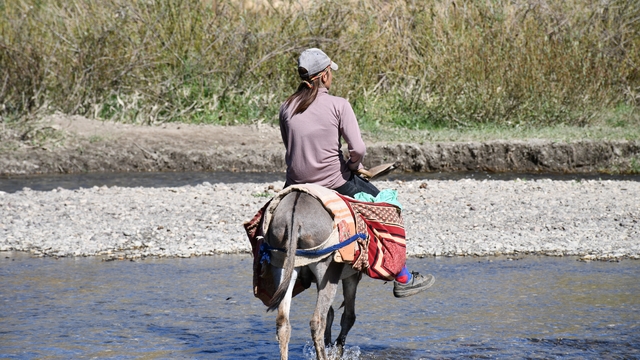 Şırnak yaylaları göçerlerle doldu
