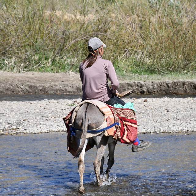 Şırnak yaylaları göçerlerle doldu