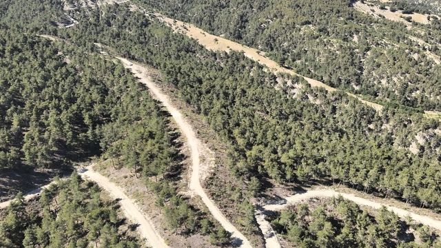 Orman köylülerine endüstriyel odundan 1 milyar TL'lik katkı