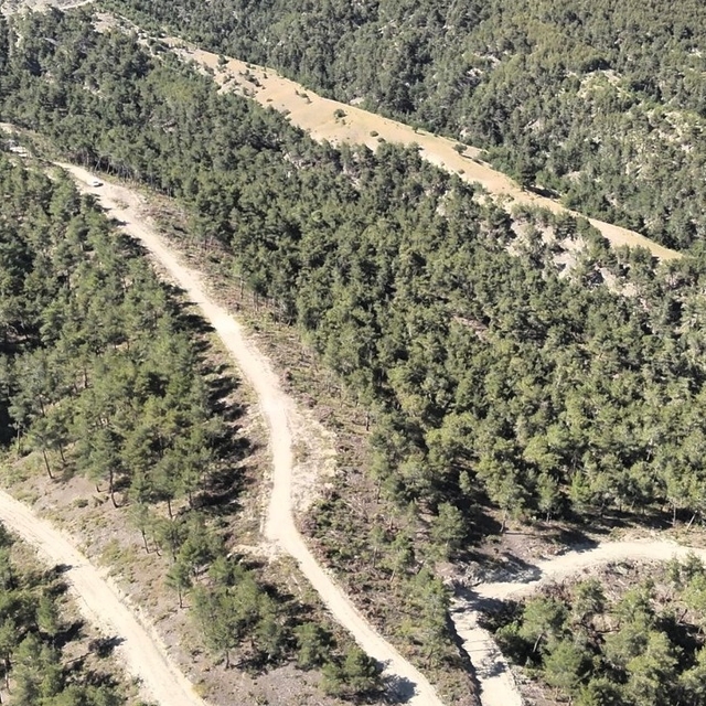 Orman köylülerine endüstriyel odundan 1 milyar TL'lik katkı