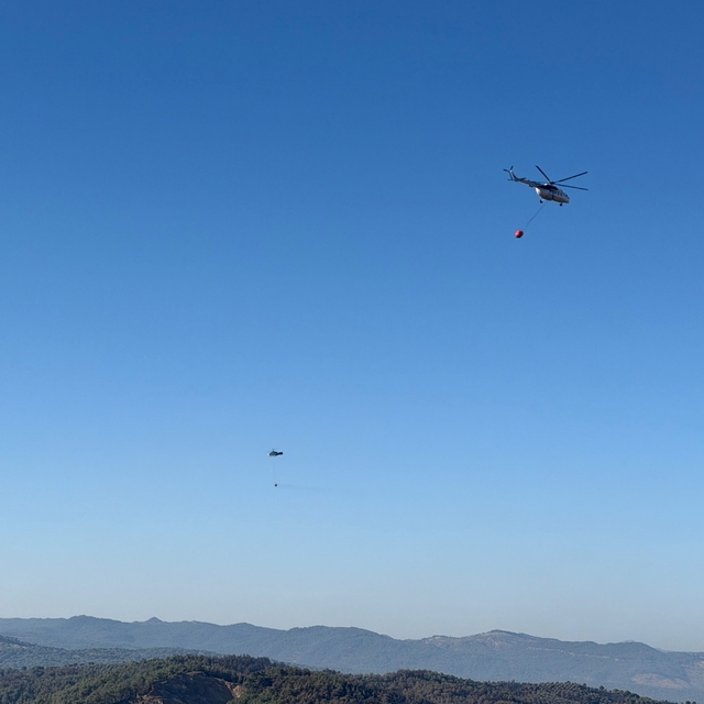 Gömeç, Ayvalık ve Bergama'da binlerce hektar ağacı kül eden yangın kontrol...