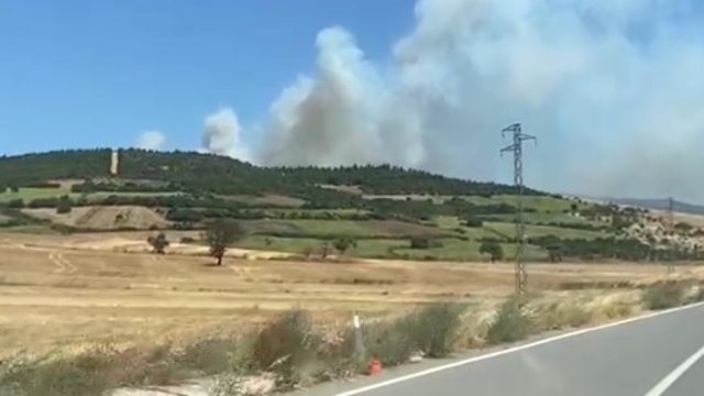 Balıkesir Susurluk'ta orman yangını