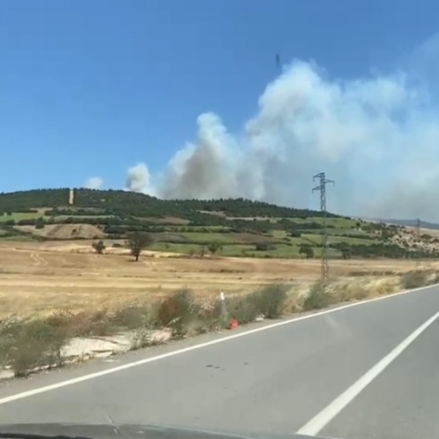 Balıkesir Susurluk'ta orman yangını