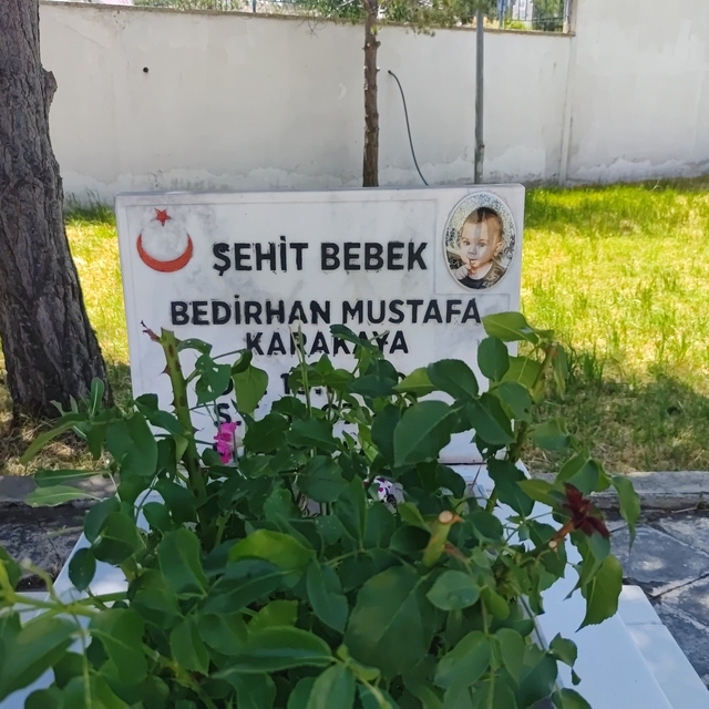 PKK'nın şehit ettiği 11 aylık Bedirhan bebek ve annesi unutulmadı