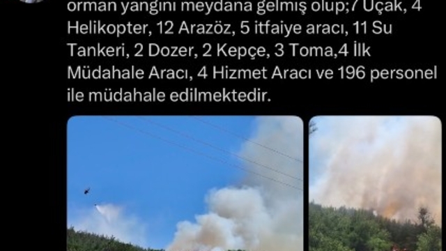 Balıkesir Susurluk'ta orman yangını (3)