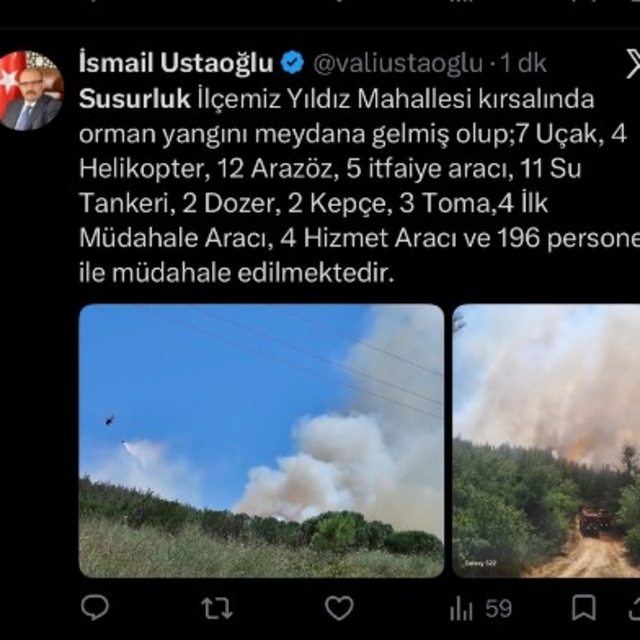 Balıkesir Susurluk'ta orman yangını (3)