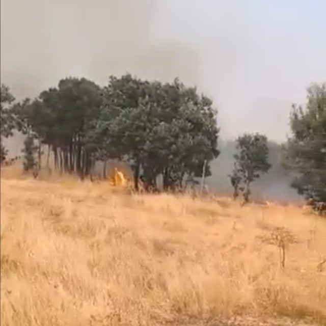 Lice kırsalında örtü yangını