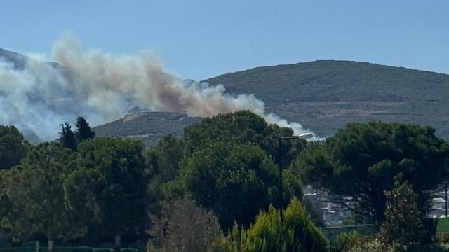 Bursa'da ormanlık alanda yangın çıktı