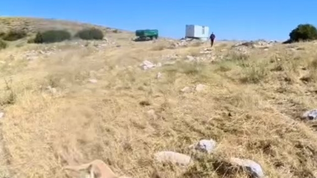 Aladağlar'da BASE Jump sporcusuna çoban köpekleri saldırdı