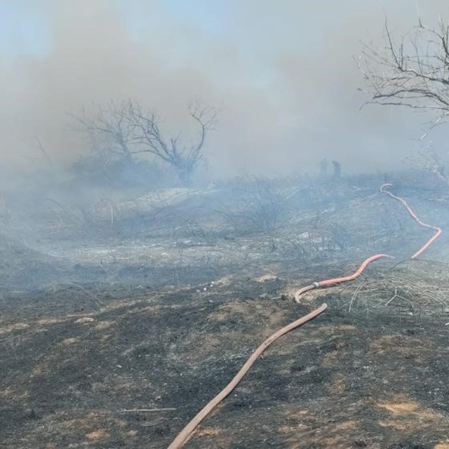 Bandırma'da arazi yangını kısa sürede söndürüldü