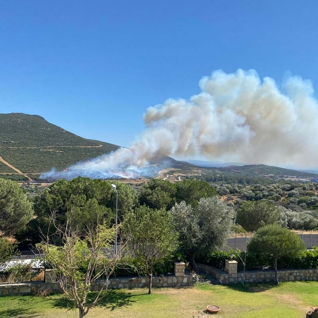 İzmir Foça'da orman yangını